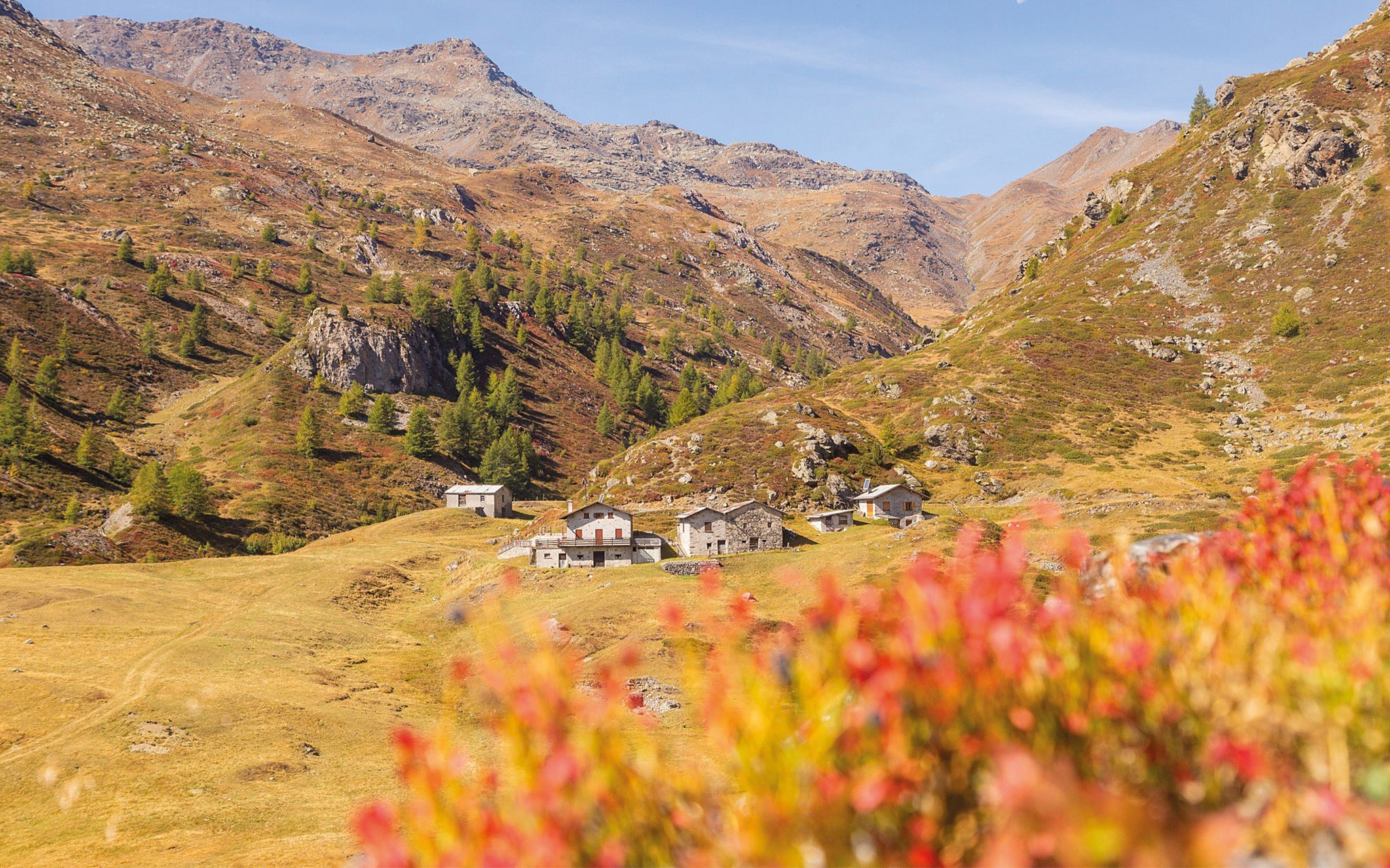 img_header